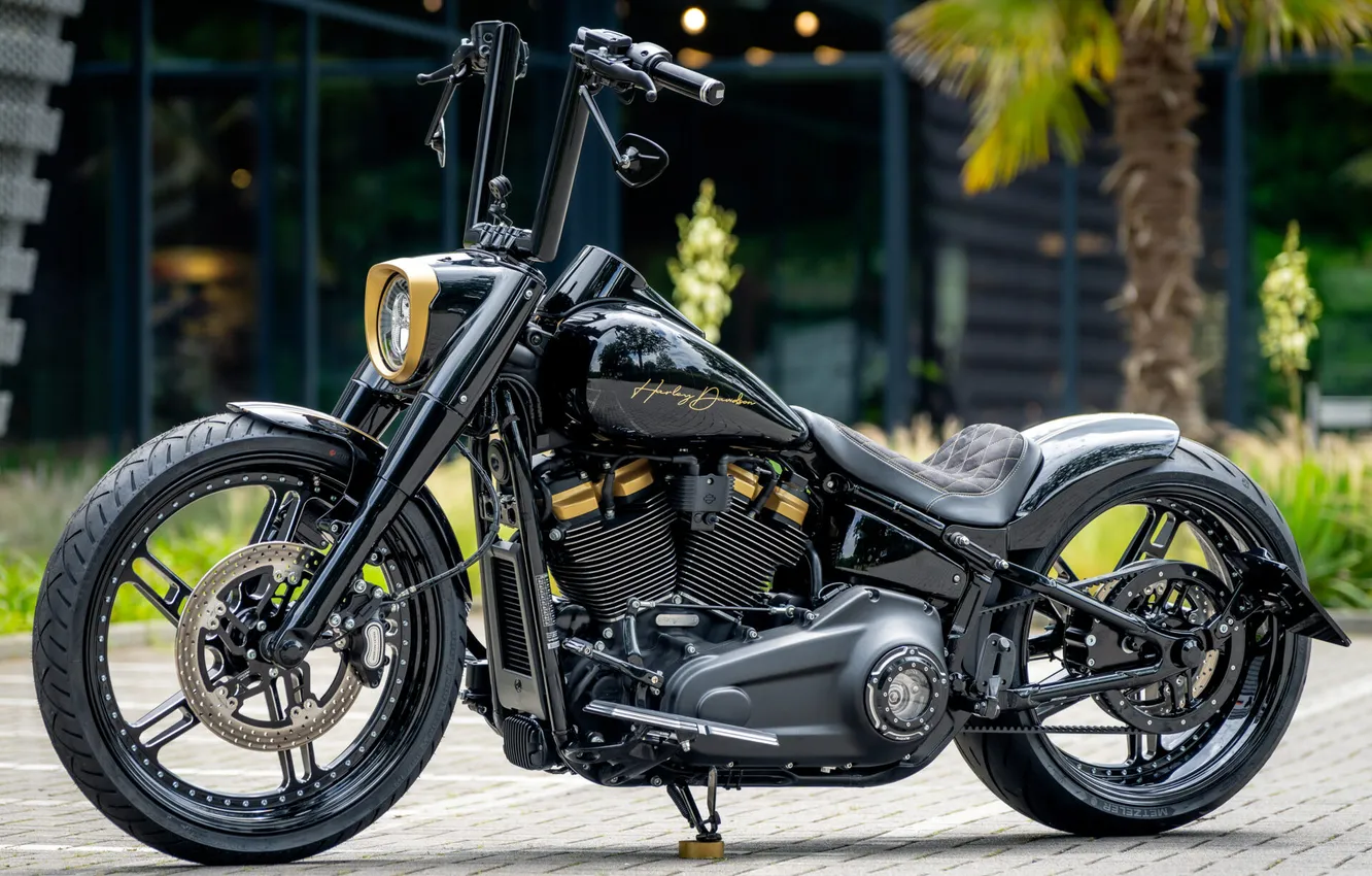 Фото обои Front, Harley-Davidson, Tuning, Softail, Customized, Fat Boy, Thunderbike, Custombikes