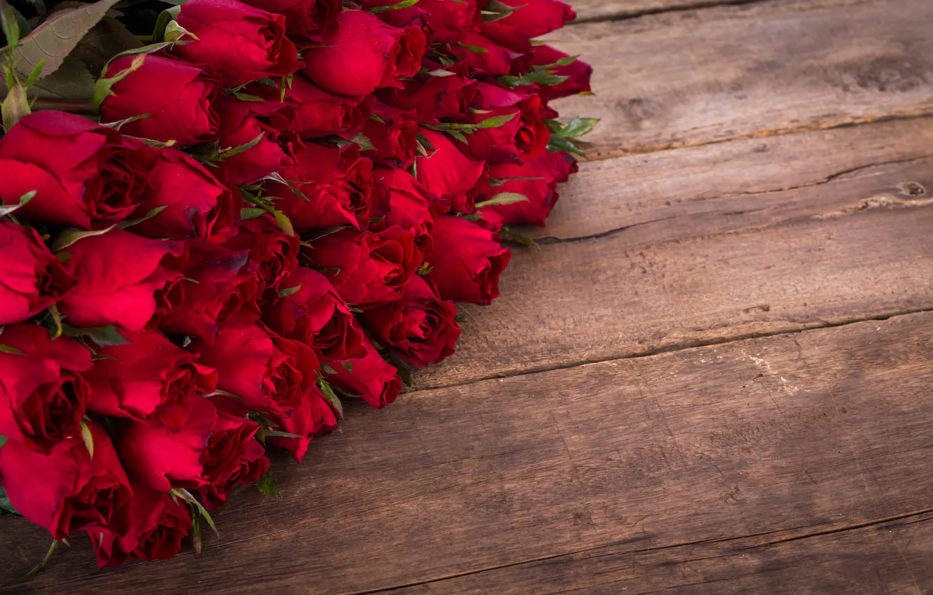 Фото обои розы, букет, красные, wood, romantic, roses