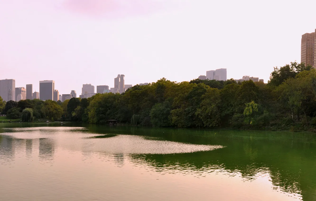 Фото обои USA, skyline, trees, panorama, New York, Manhattan, NYC, New York City