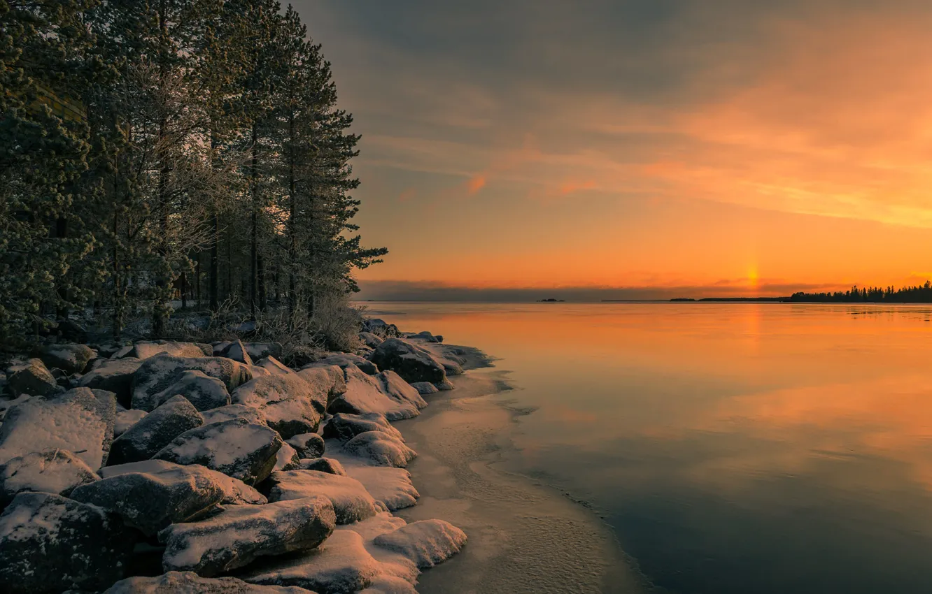 Фото обои зима, лес, небо, снег, деревья, закат, озеро, камни