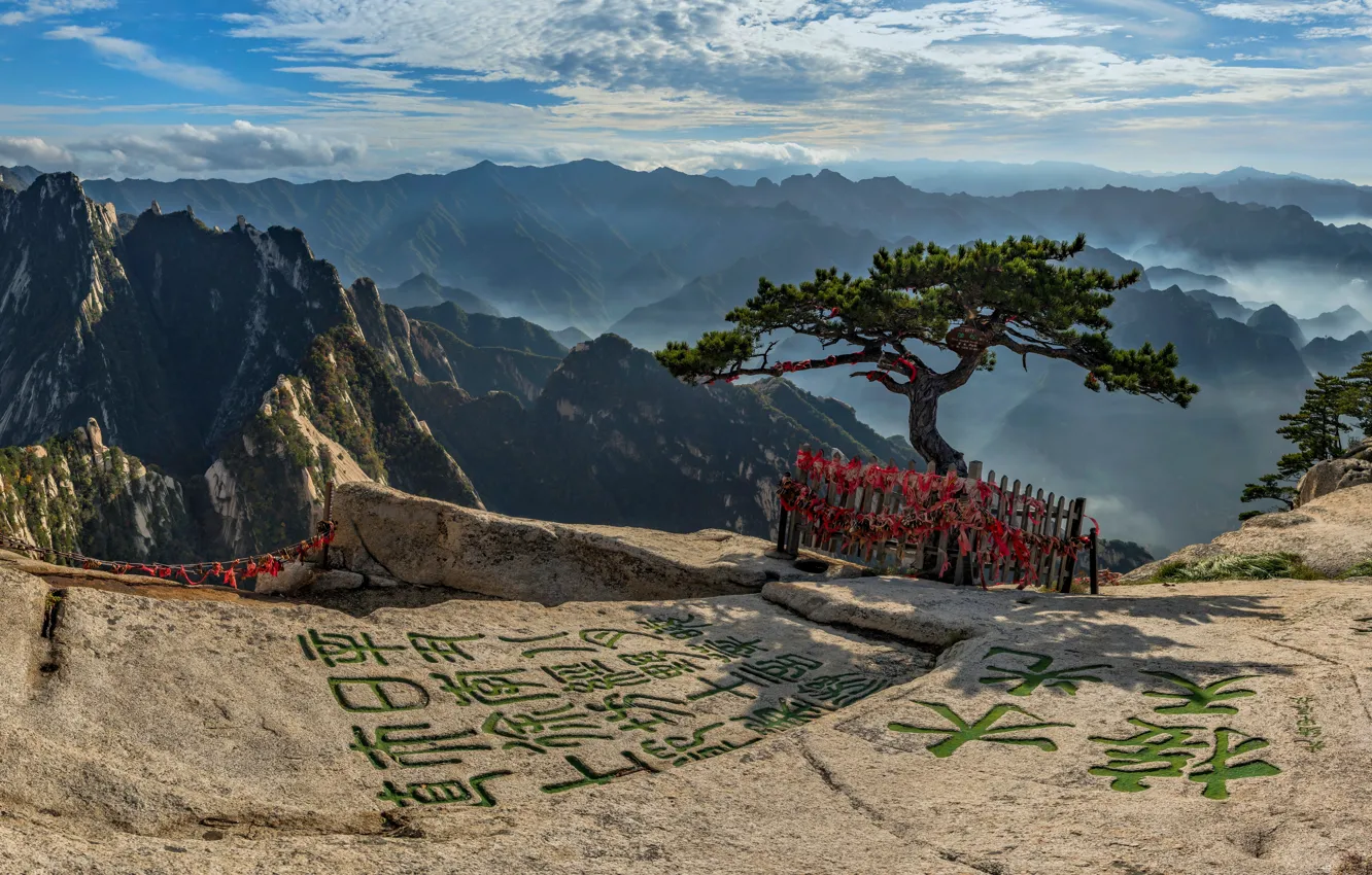 Фото обои горы, дерево, Китай, иероглифы, Mount Hua