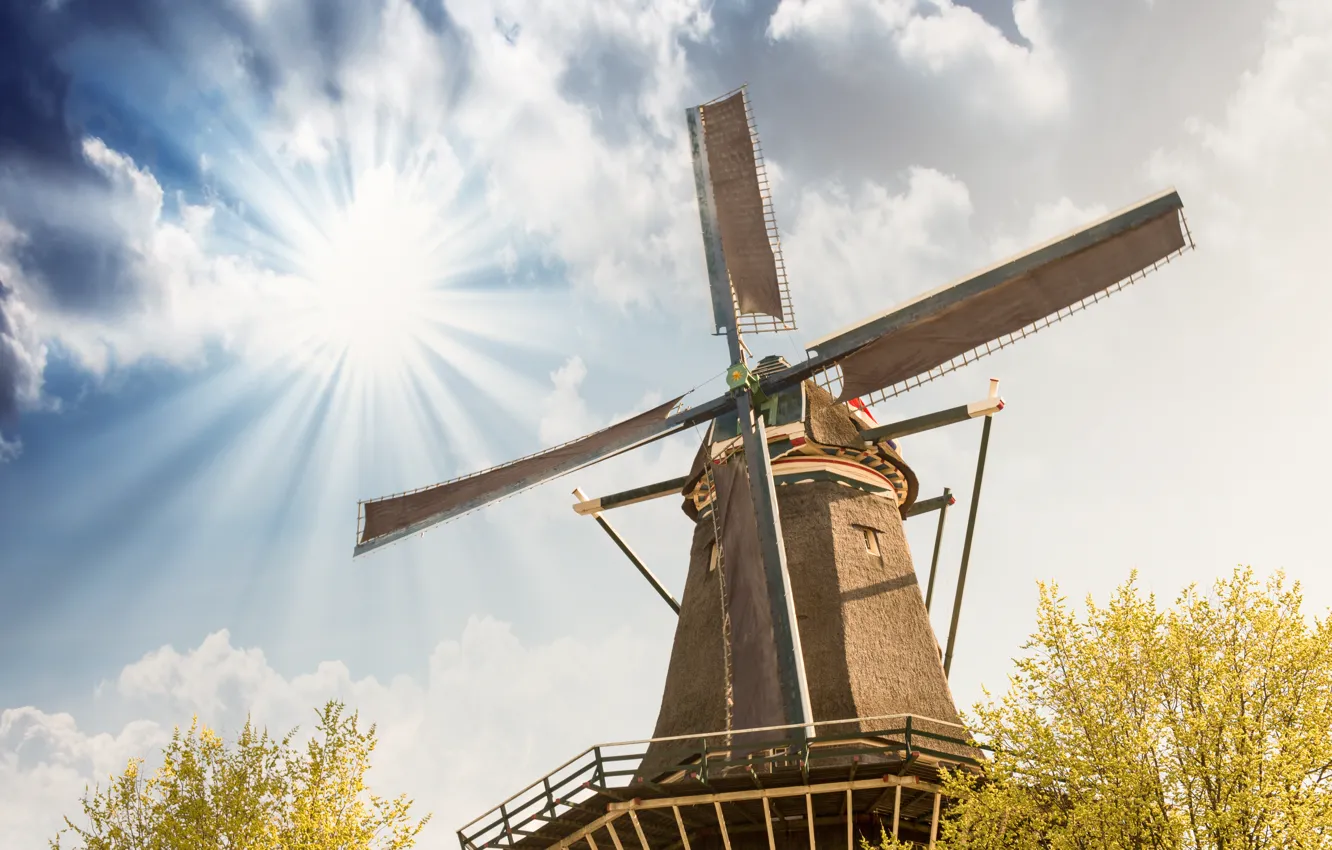 Фото обои поле, небо, мельница