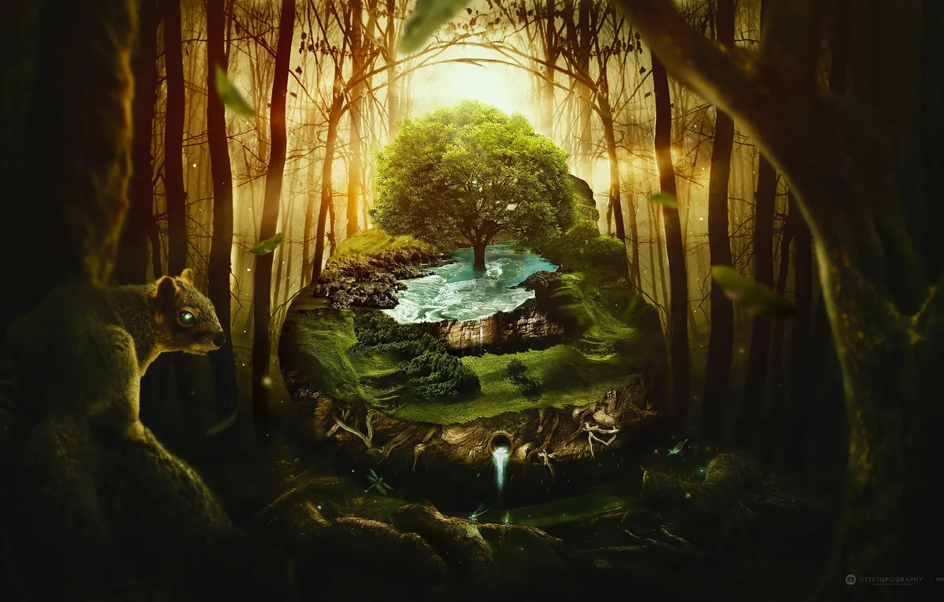 Фото обои лес, вода, креатив, дерево, белка, desktopography