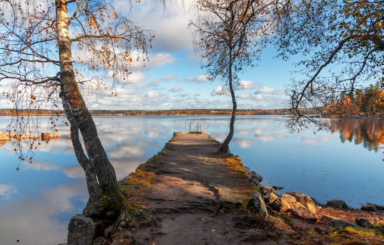Фото обои осень, деревья, природа, река, Эдуард Гордеев