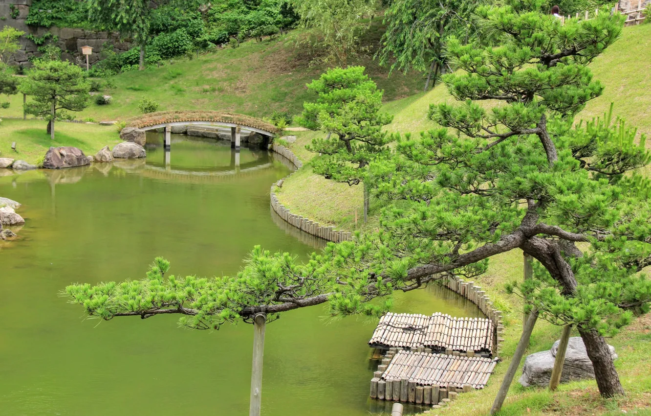 Фото обои озеро, парк, япония