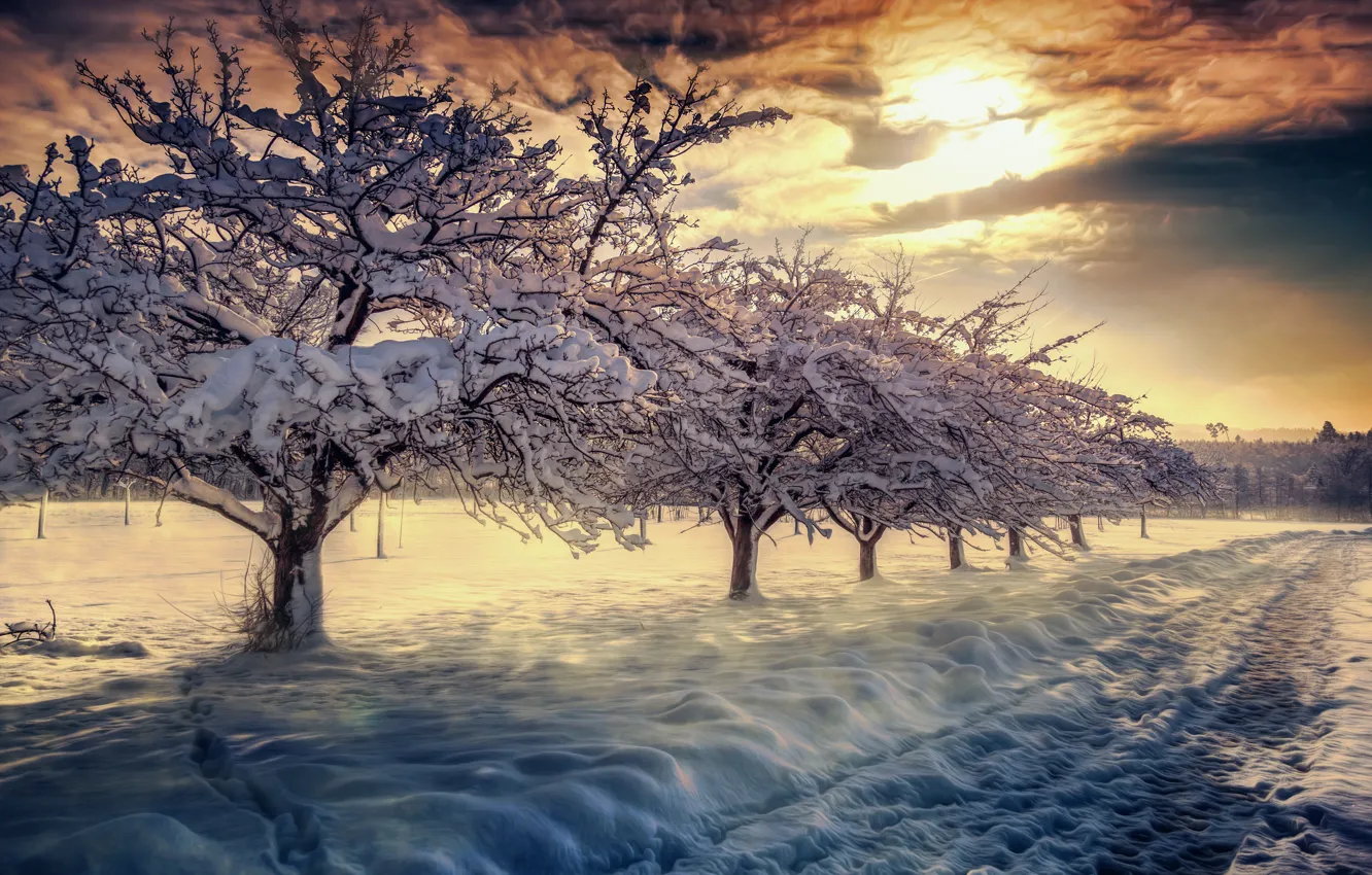 Фото обои зима, небо, облака, снег, пейзаж, природа, восход