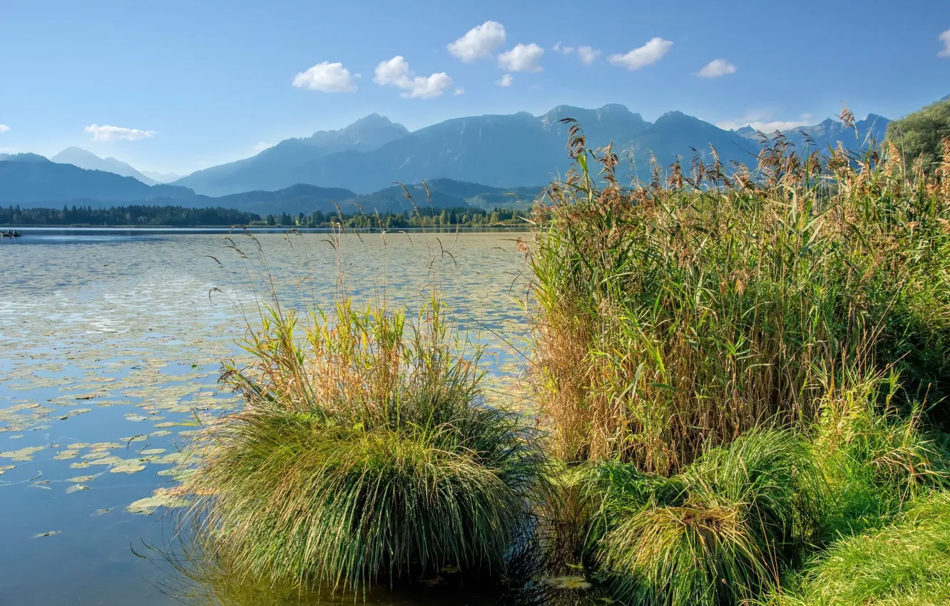 Фото обои трава, пейзаж, горы, природа, озеро, красота