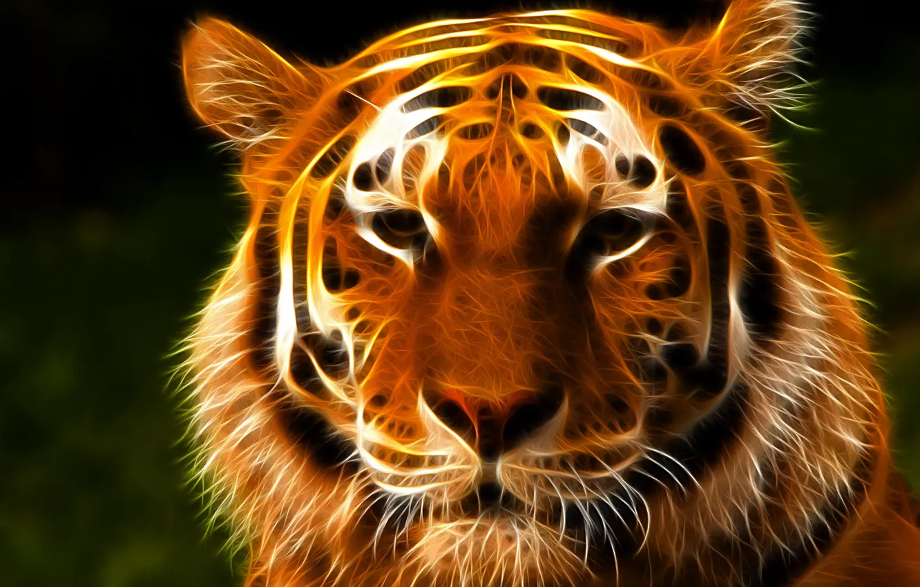 Фото обои взгляд, морда, тигр, 3D графика