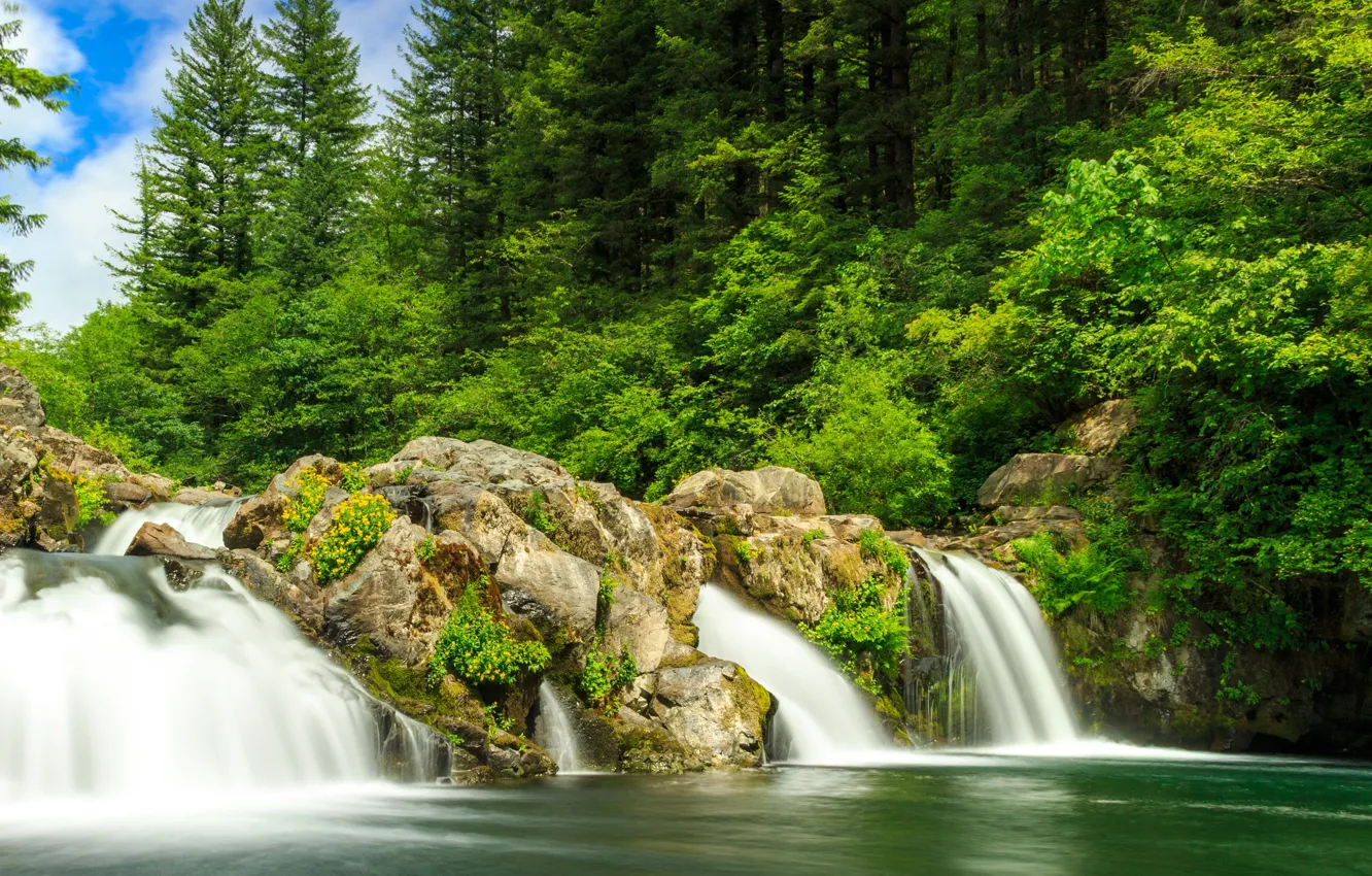 Фото обои зелень, лес, солнце, деревья, парк, камни, водопад, США