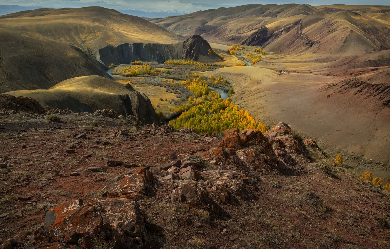 Фото обои осень, пейзаж, горы, природа, река, долина, леса, Алтай