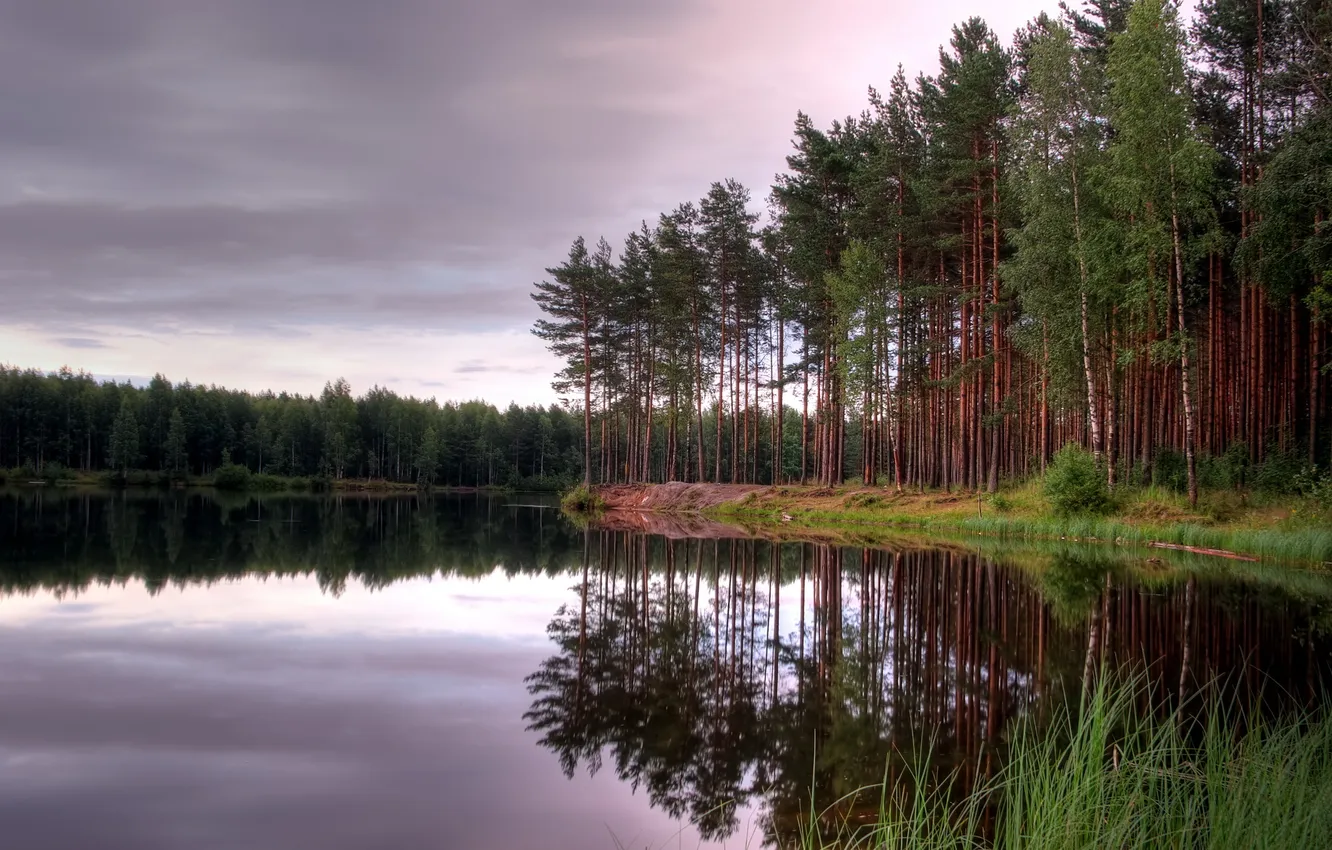 Фото обои лес, закат, природа, озеро