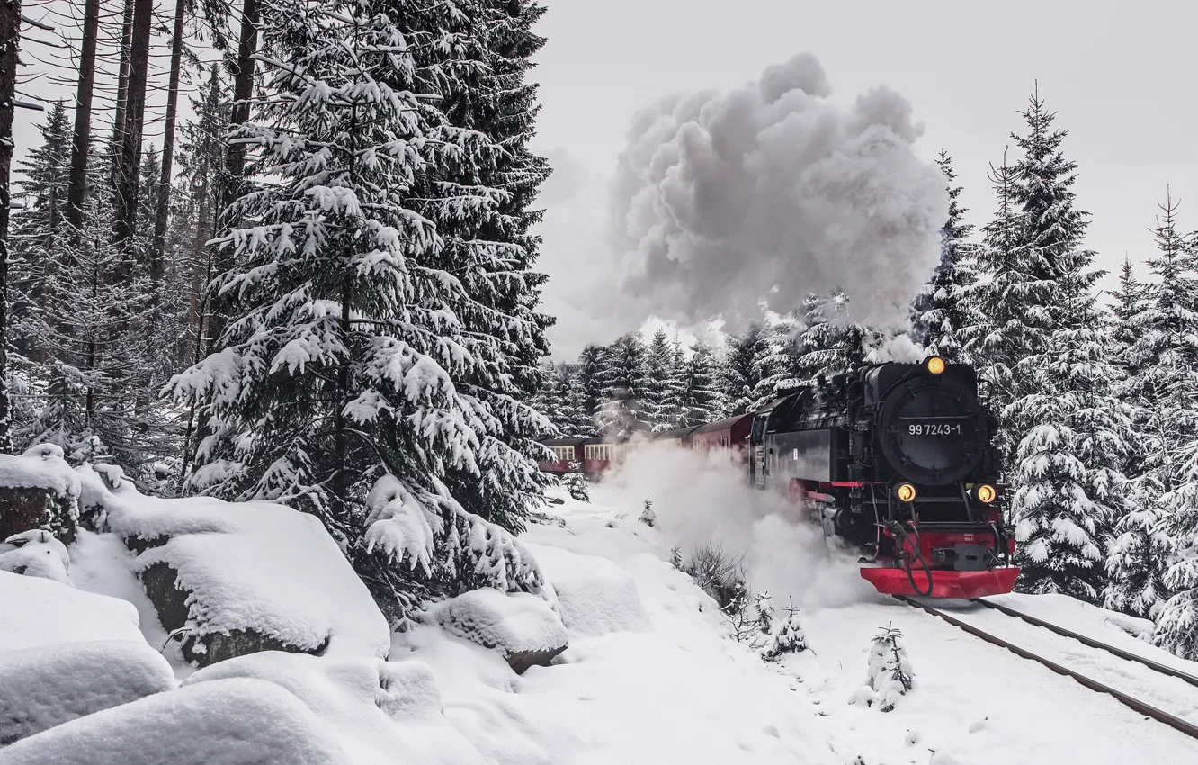 Фото обои зима, лес, поезд