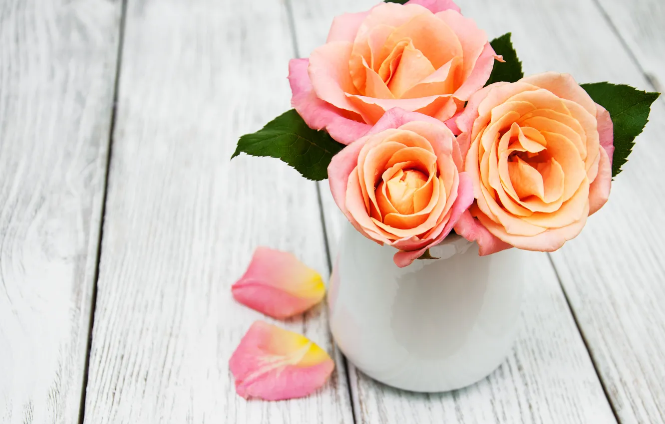 Фото обои цветы, розы, букет, розовые, wood, pink, roses