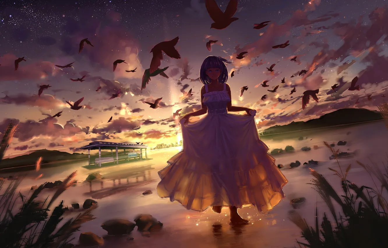 Фото обои небо, девушка, звезды, облака, закат, горы, птицы, природа