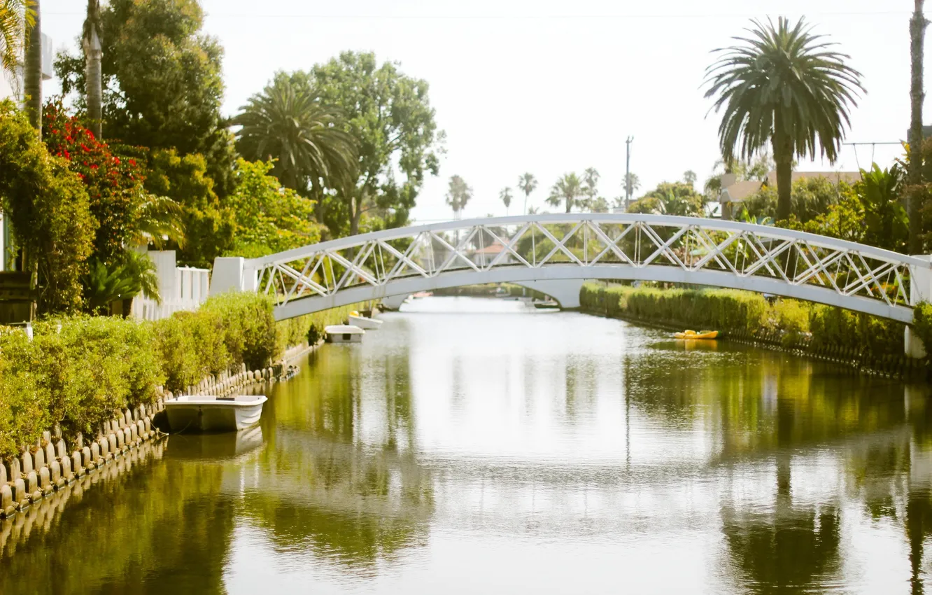 Фото обои зелень, вода, мост, отражение, пальма, лодка, канал