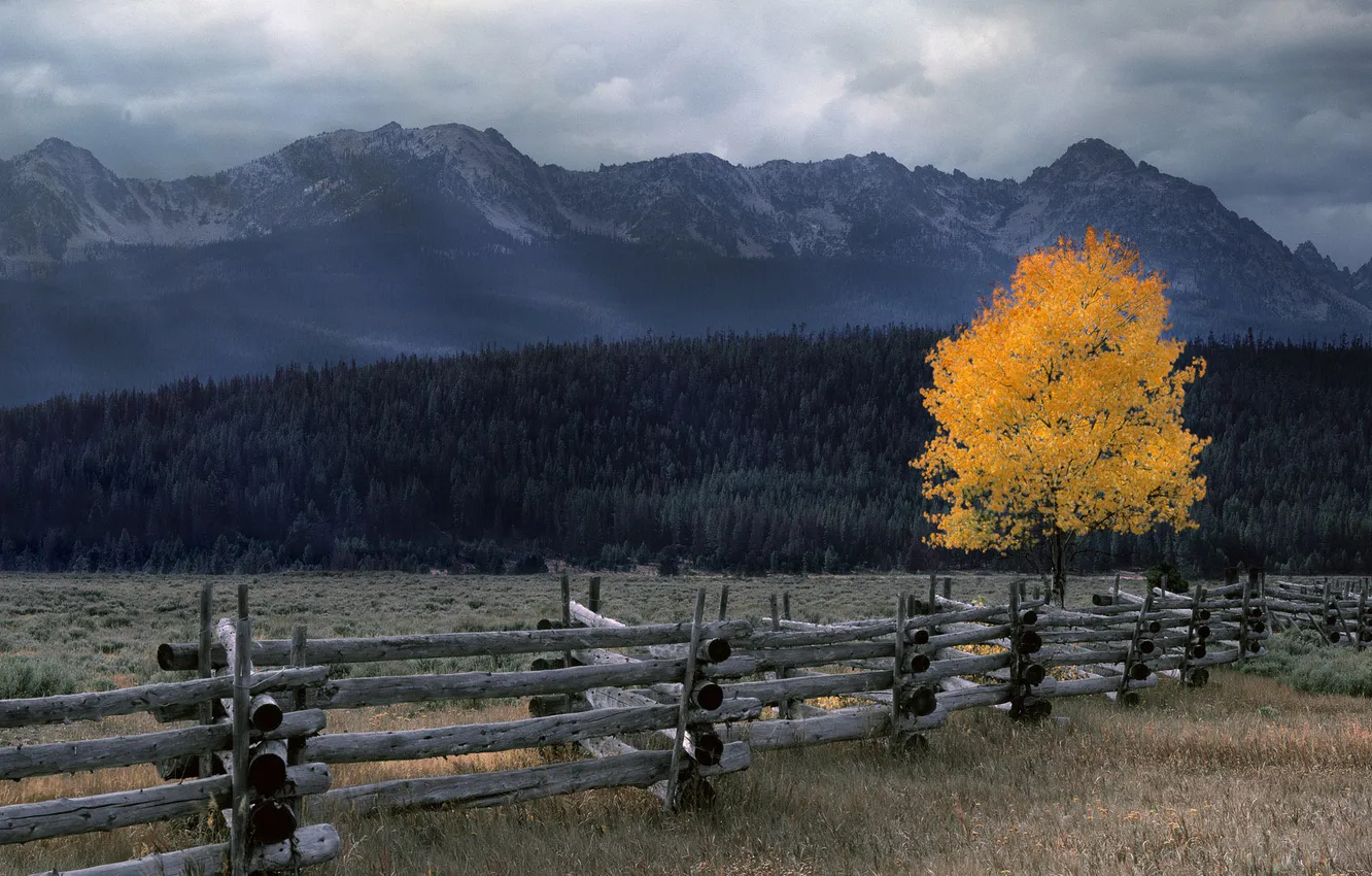 Фото обои осень, лес, пейзаж, горы, тучи, природа, дерево, пасмурно