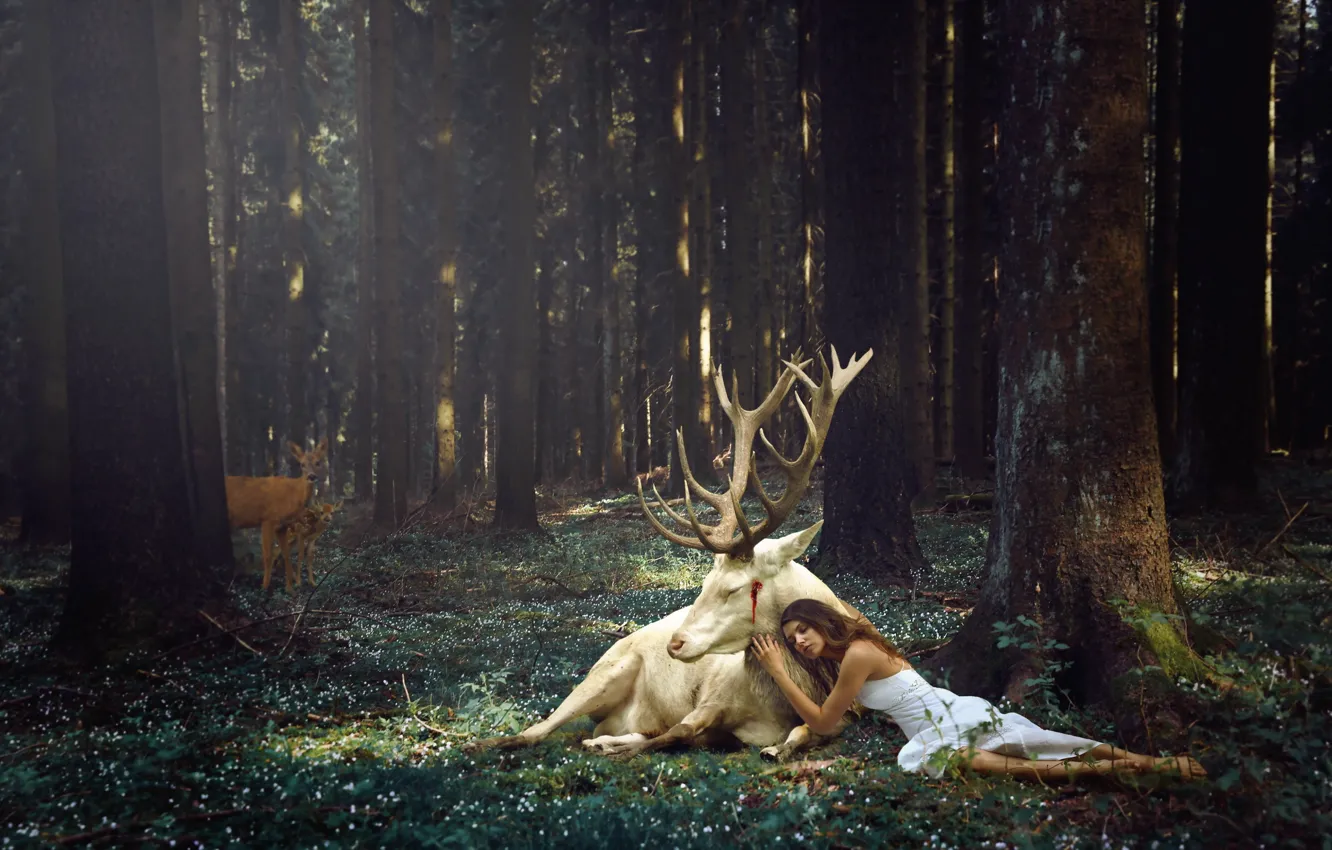 Фото обои лес, девушка, олень