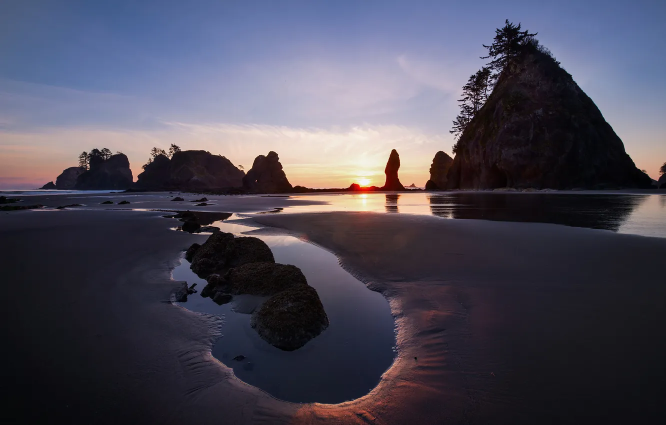 Фото обои пляж, вода, деревья, камни, океан, скалы, вечер, Вашингтон