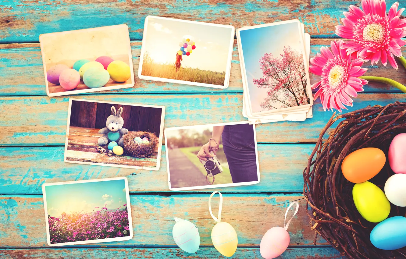 Фото обои цветы, фото, яйца, весна, камера, colorful, Пасха, герберы