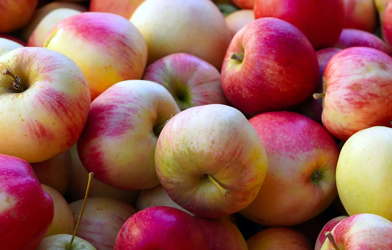 Фото обои яблоки, желтые, урожай, красные, розовые, много, боке
