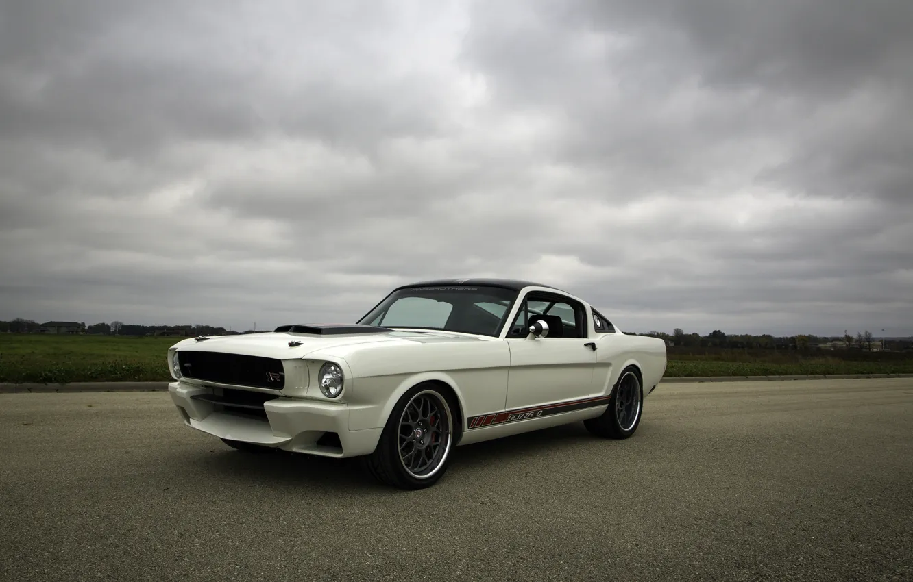 Фото обои Mustang, Ford, Ford Mustang, Blizzard, Front, White, Fastback, Road