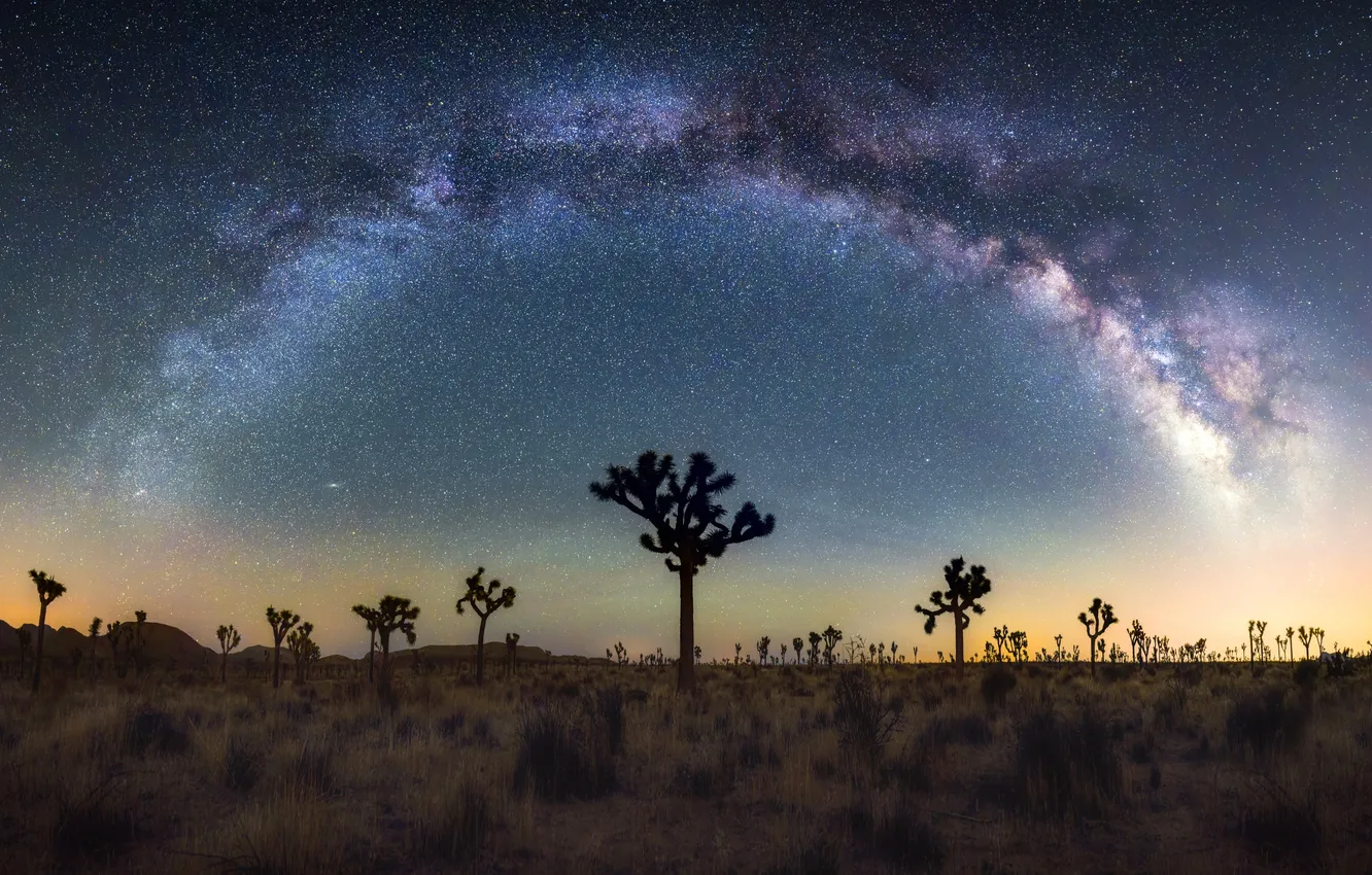 Фото обои звезды, ночь, Калифорния, Млечный Путь, United States, California, Milky Way, Соединенные Штаты Америки