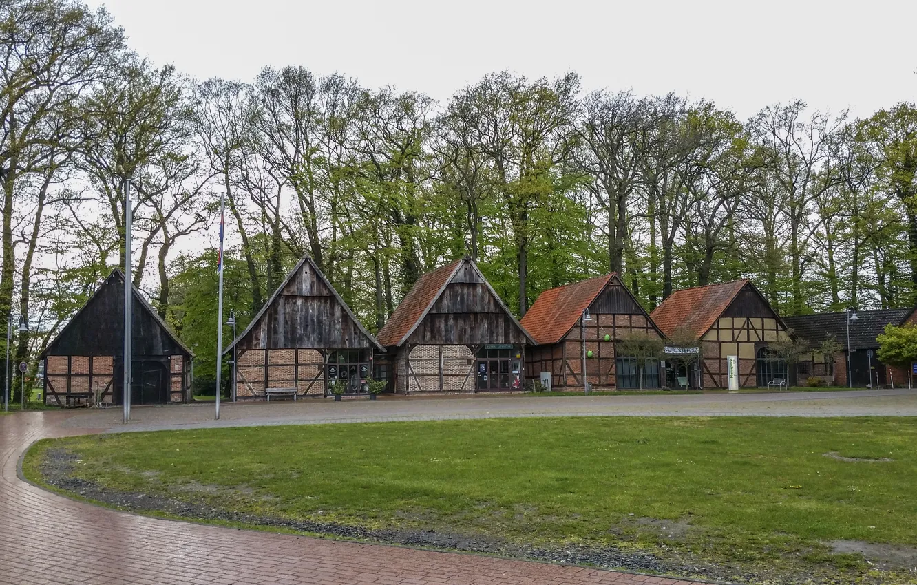 Фото обои осень, парк, дождь, пасмурно, Германия, rain, Germany, park