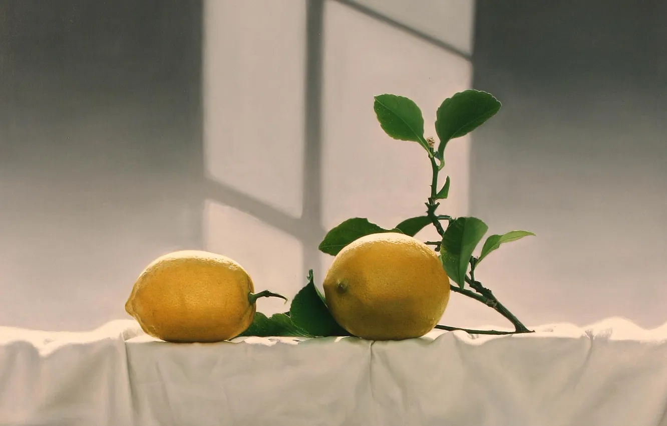 Фото обои свет, стол, тень, картина, окно, арт, фрукты, лимоны