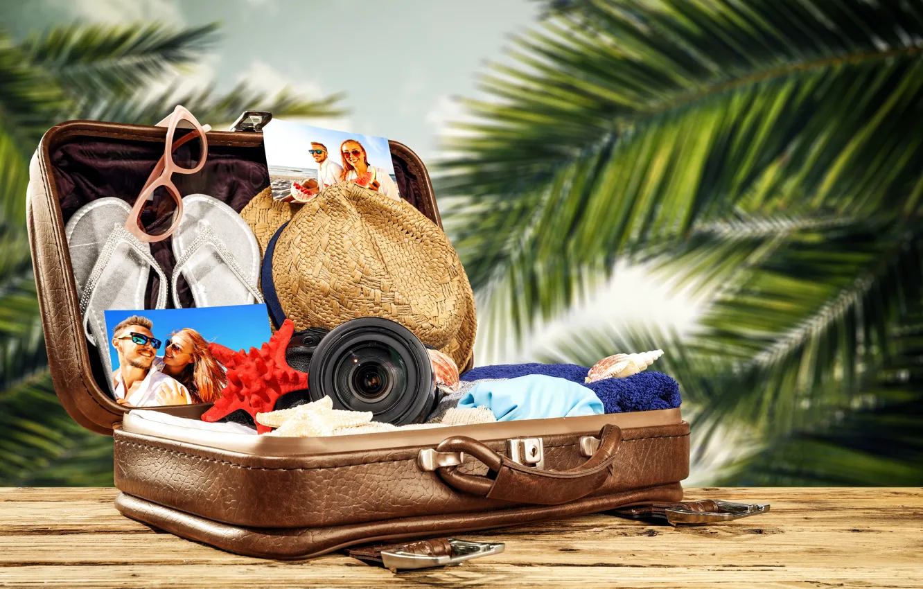 Фото обои солнце, пальмы, одежда, отпуск, шляпа, очки, фотоаппарат, фотографии