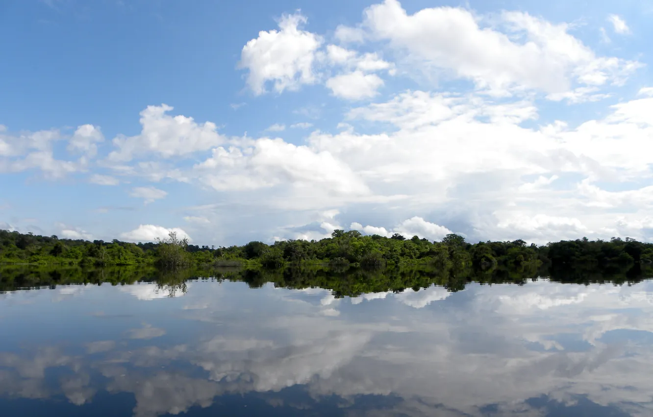 Фото обои Clouds, Sky, River, Trees, Amazônia