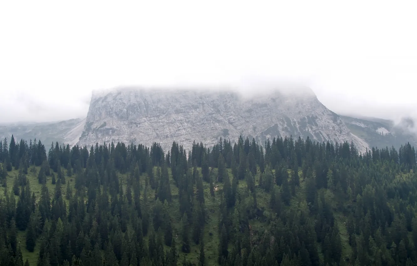 Фото обои облака, горы, Австрия, сосна, Бихльбах