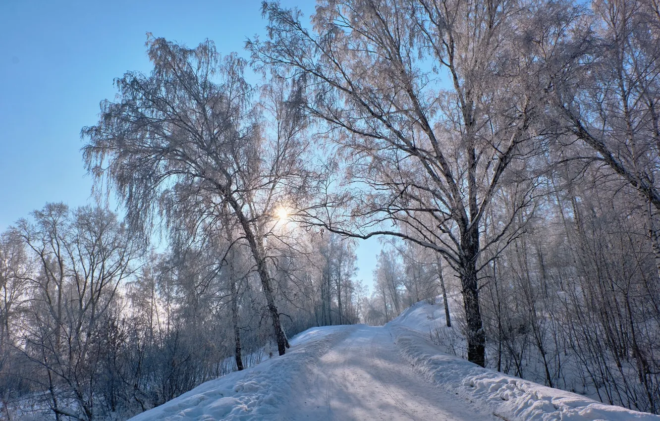 Фото обои зима, дорога, снег, деревья, дамба