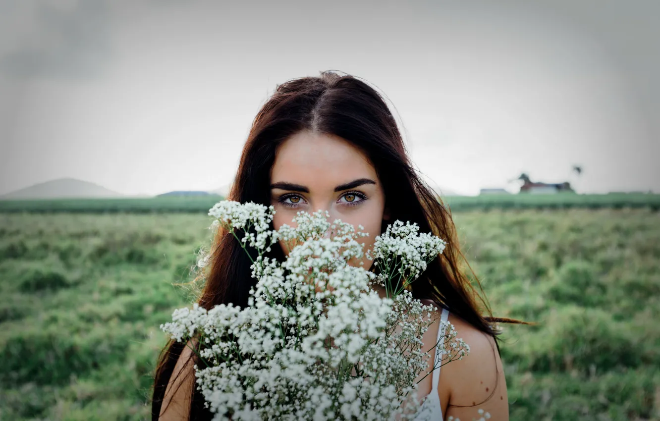 Фото обои field, eyes, flowers, face, look, beautiful girl