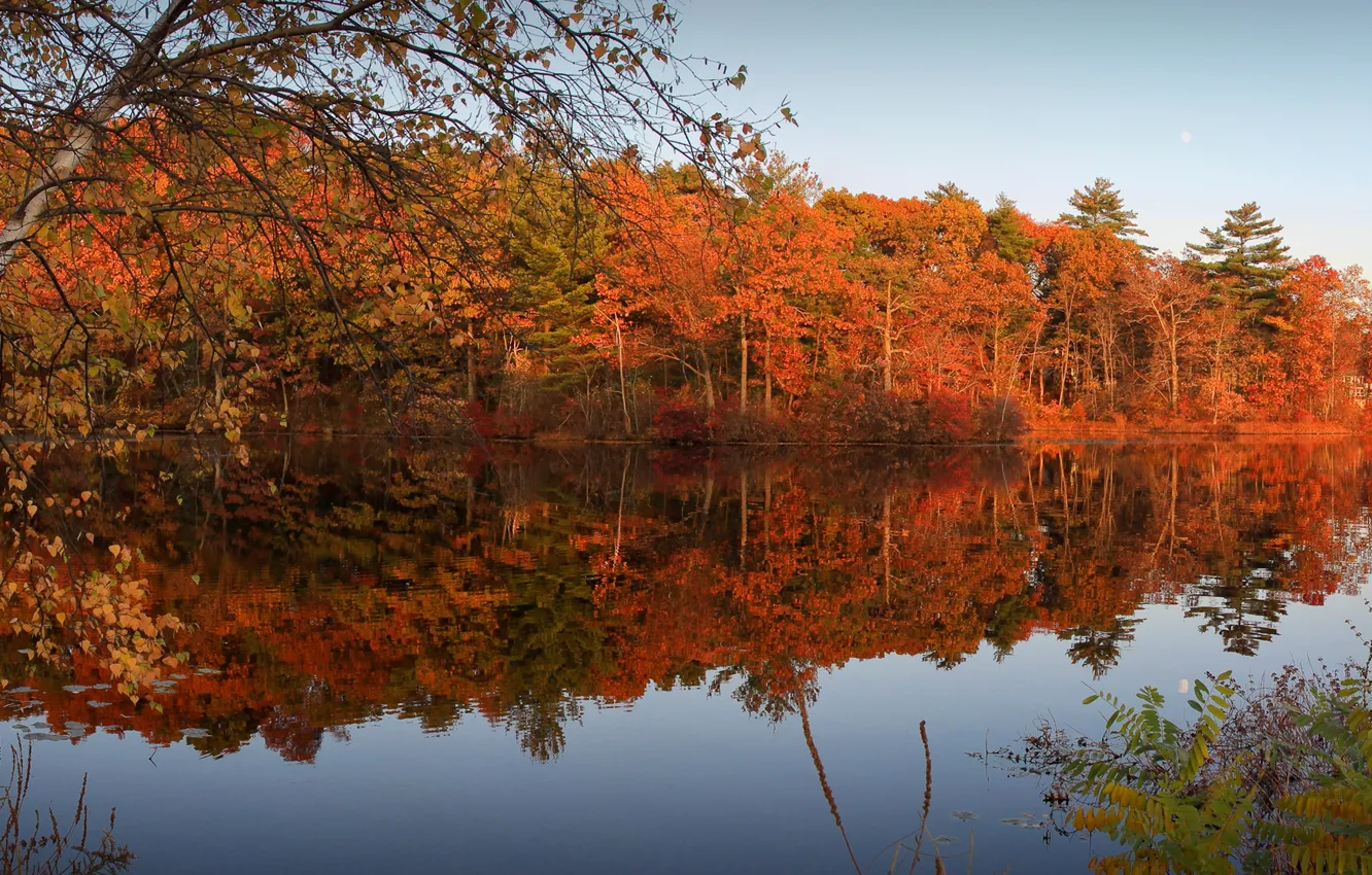 Фото обои осень, лес, небо, листья, деревья, река, вечер, багрянец