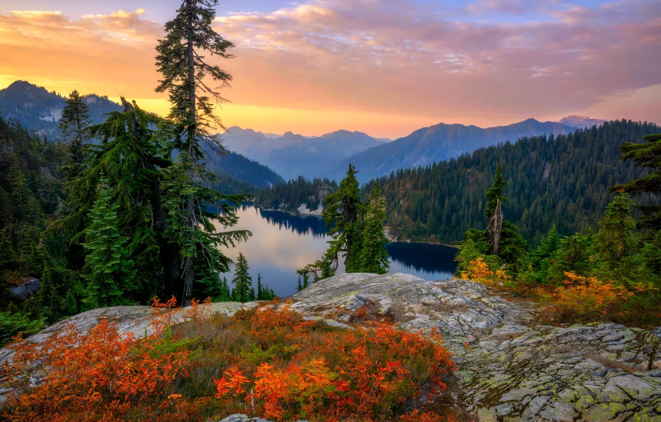 Фото обои осень, лес, закат, горы, озеро, ели, Mount Rainier National Park, Национальный парк Маунт-Рейнир