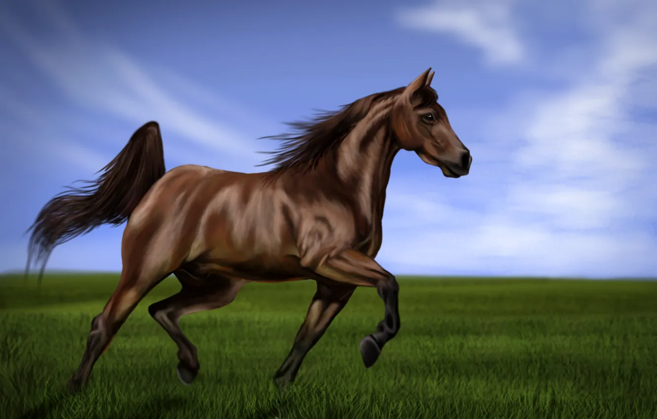 Фото обои небо, трава, лошадь, тень, арт, грива, хвост, живопись
