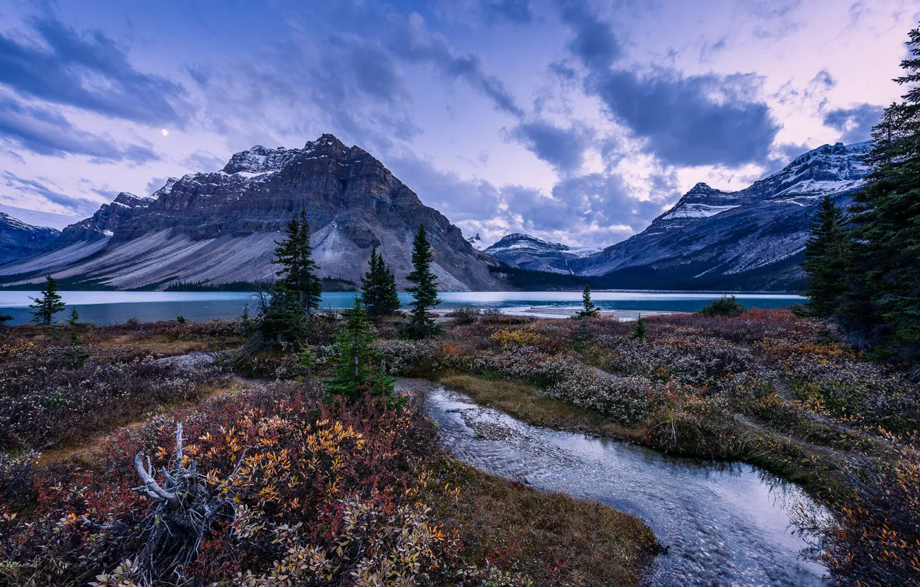 Фото обои трава, деревья, горы, озеро, ручей, вечер, Banff National Park, Alberta