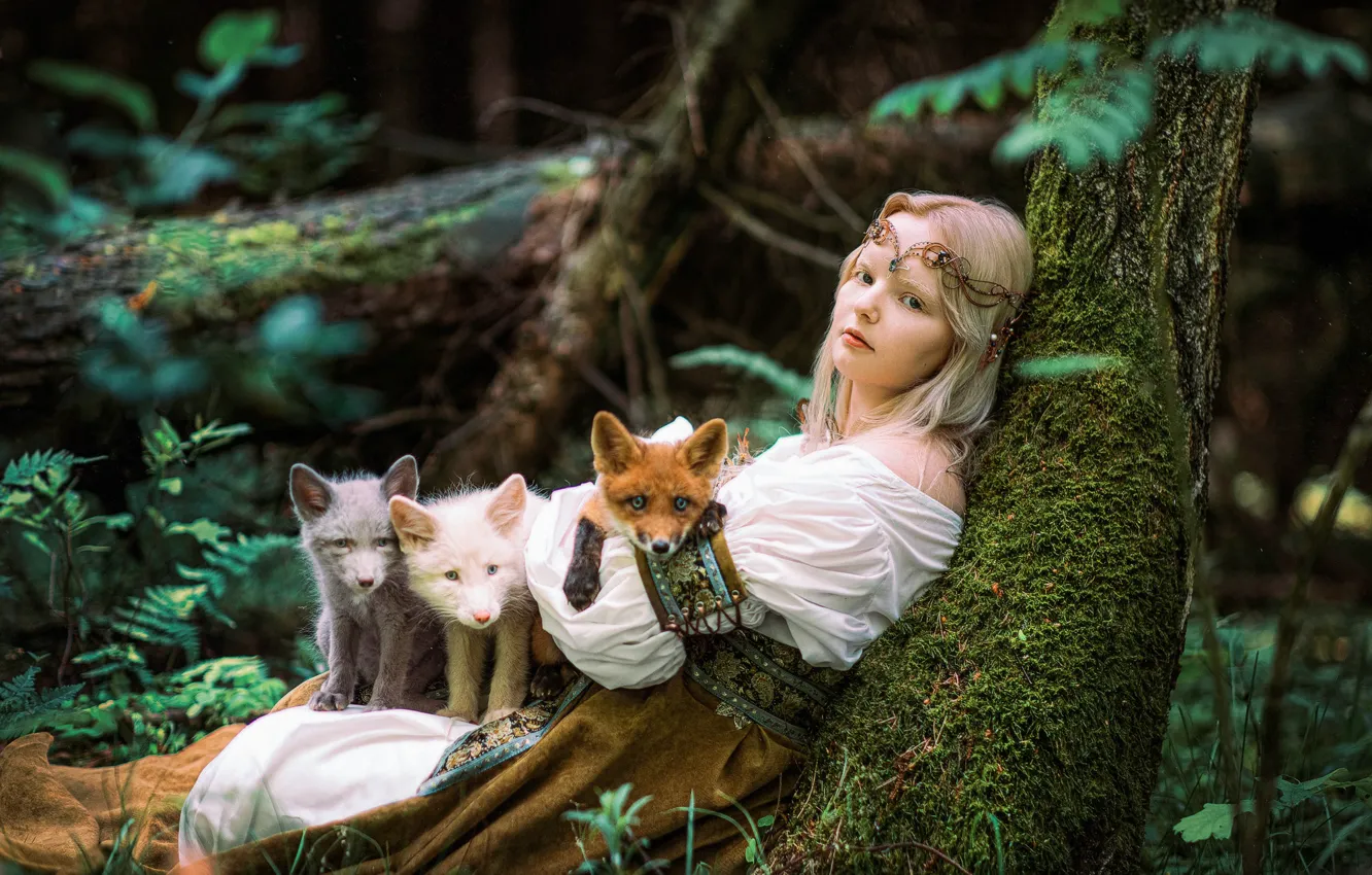 Фото обои животные, девушка, деревья, природа, блондинка, детёныши, лисята, Александра Савенкова