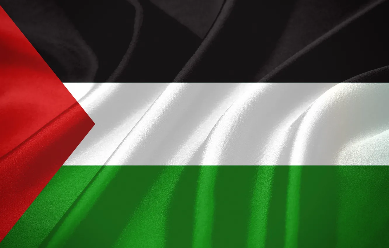 Фото обои flag, Texture, gaza, palestine