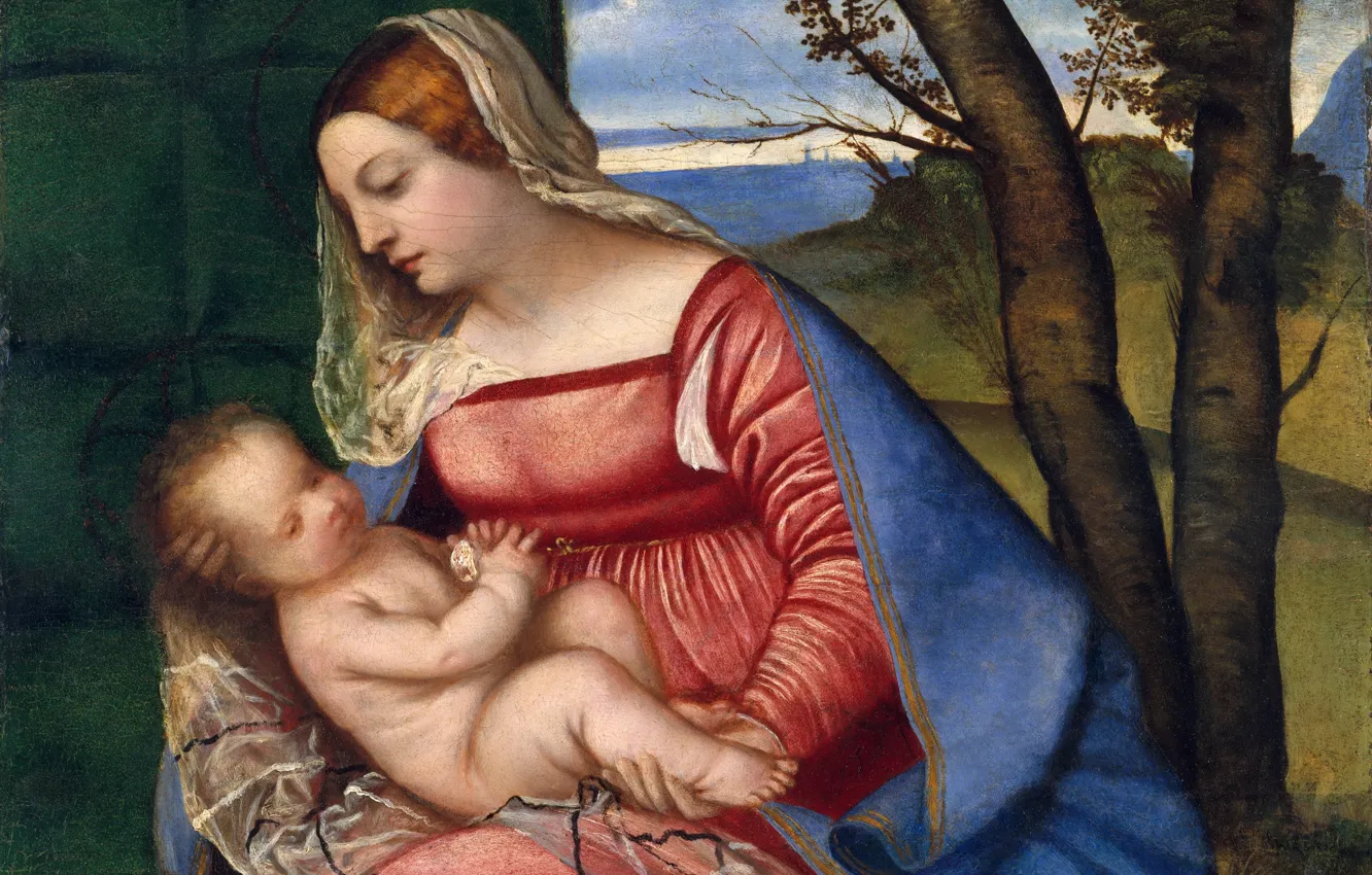 Фото обои Titian Vecellio, ок.1510, Мадонна с младенцем