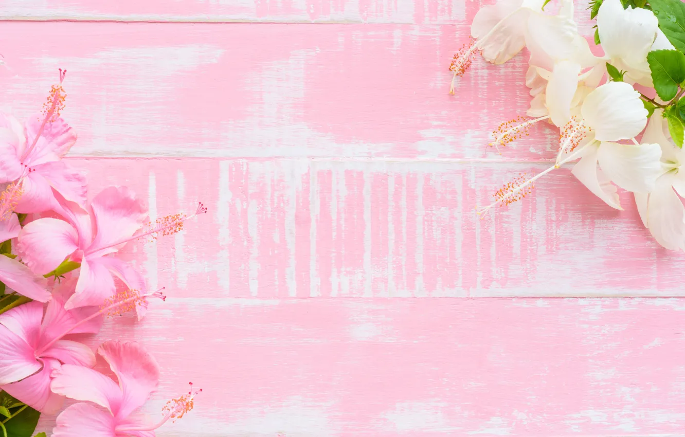 Фото обои цветы, фон, розовый, wood, pink, flowers