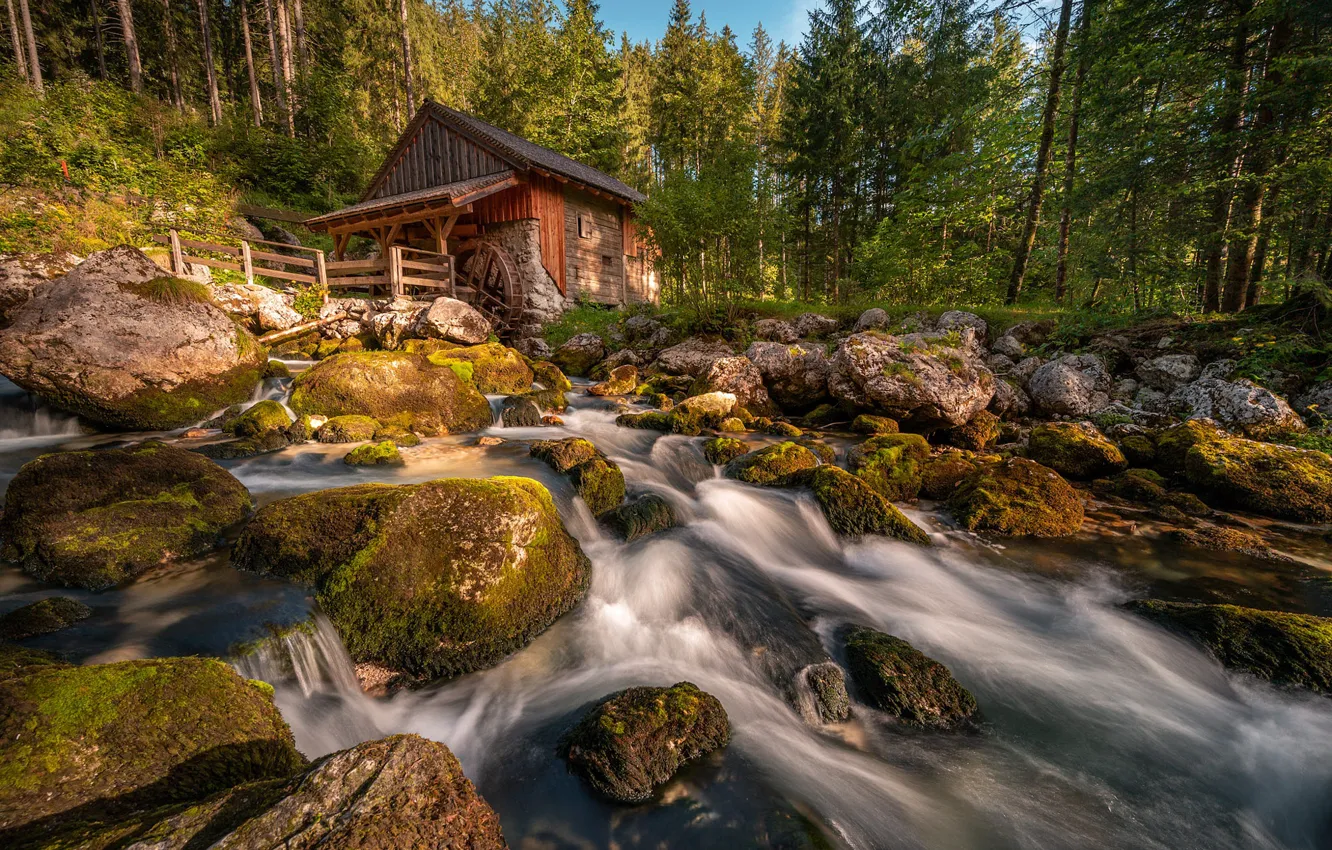 Фото обои лес, свет, горы, камни, скалы, водопад, мох, ели