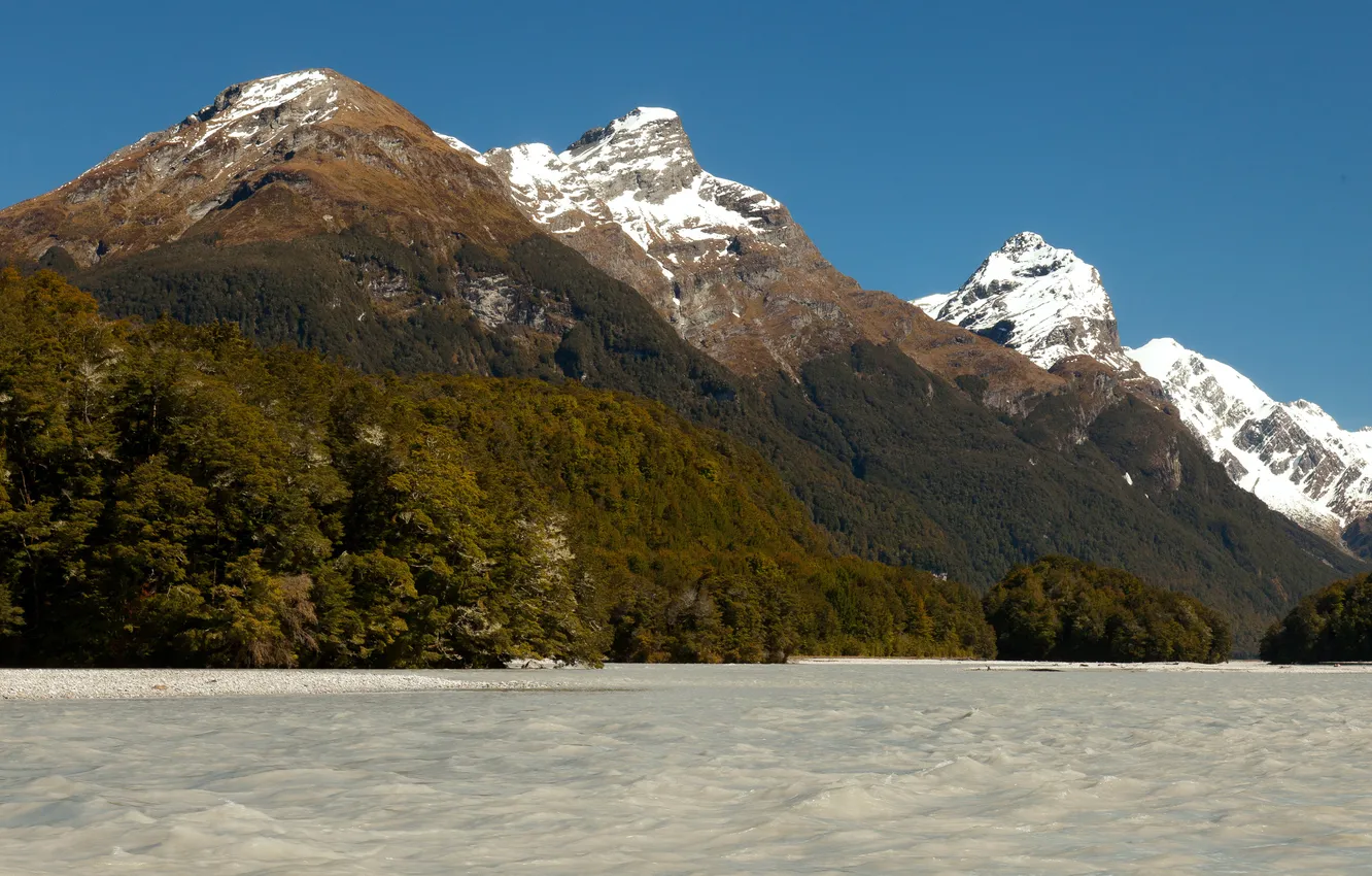 Фото обои горы, озеро, берег, Новая Зеландия, леса, Wakatipu