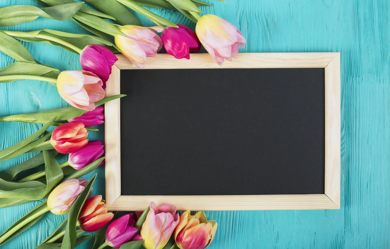 Фото обои цветы, рамка, colorful, тюльпаны, wood, flowers, tulips, spring