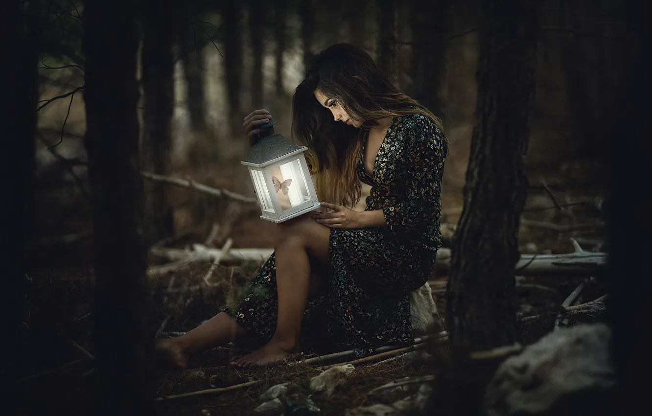 Фото обои лес, девушка, фонарь, полумрак