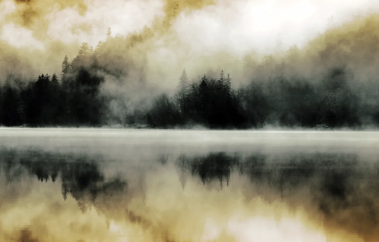 Фото обои лес, туман, озеро, отражение