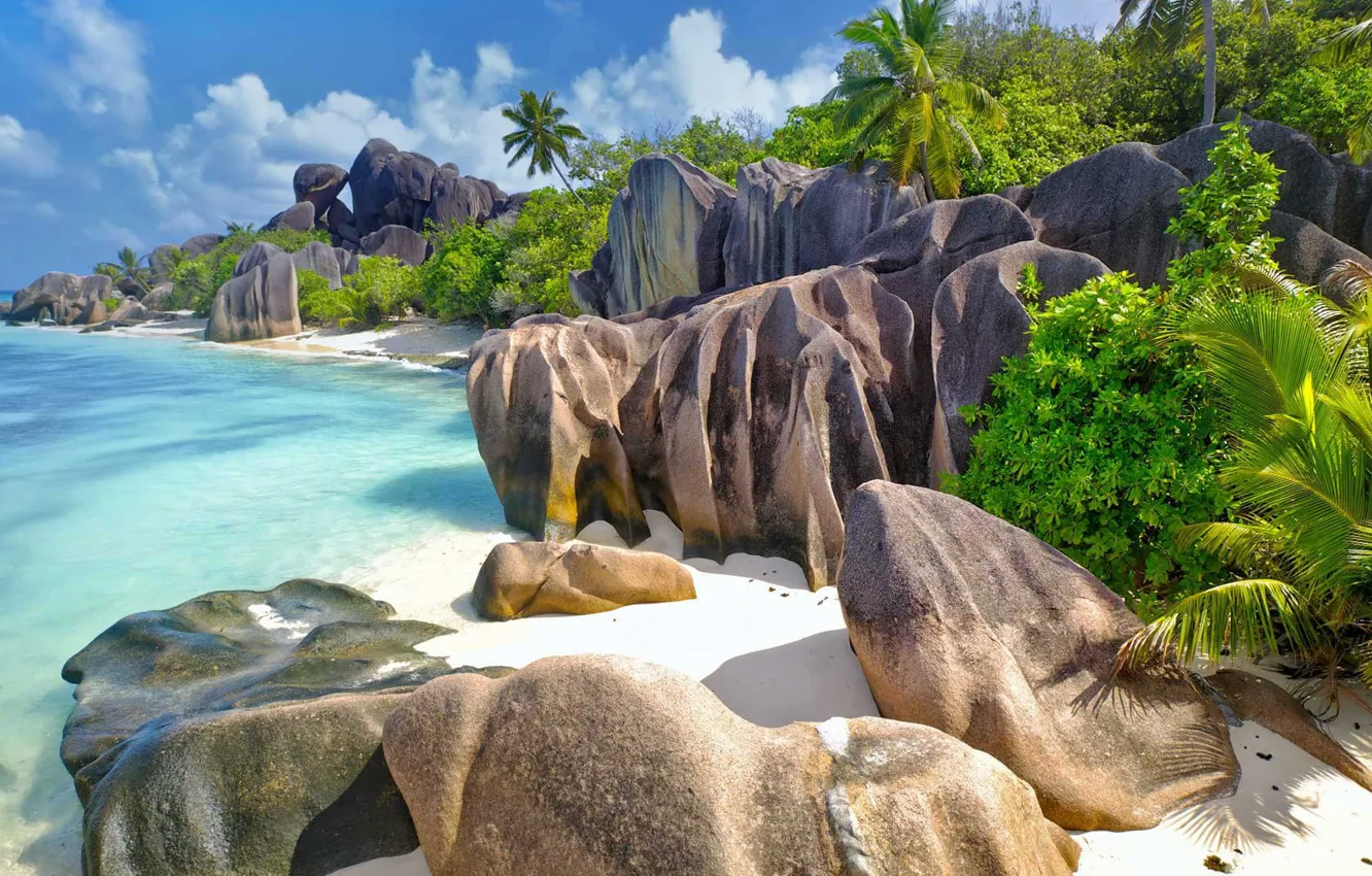 Фото обои море, камни, пальмы, океан, скалы, Сейшельские острова, остров Ла-Диг