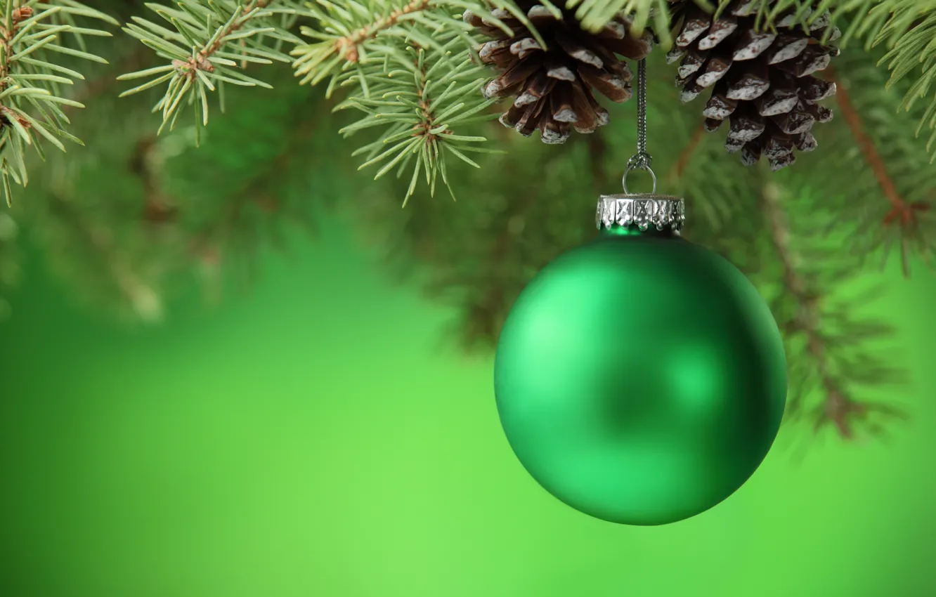 Фото обои зеленый, игрушки, елка, шар, ель, ветка, шарик, Новый Год