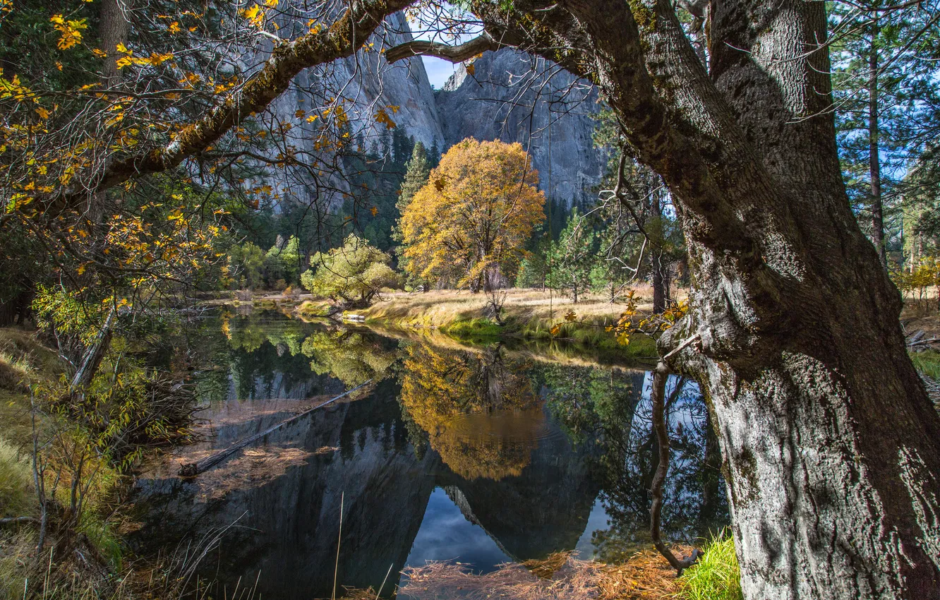 Фото обои осень, деревья, горы, озеро