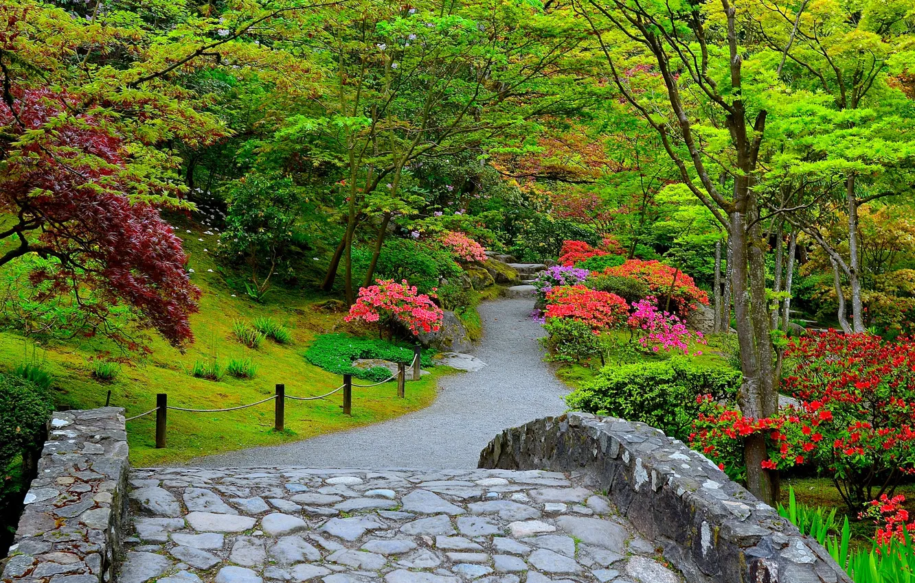 Фото обои сад, Сиэтл, США, Seattle, штат Вашингтон, Kubota Garden